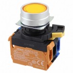 A22NL-RNM-TYA-G102-YC Picture