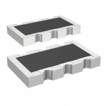 RAVF324DJT10R0 Picture