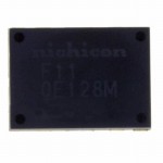 F110E128MFK Picture