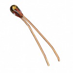 B57550G0503F000 Picture