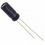 ESK106M050AC3AA Picture