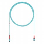 FZURPENENYNF017 Picture