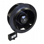 OAB22599-11-1B Picture