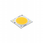 CXM-14-40-80-36-AA00-F2-3 Picture