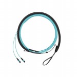 FXTRL7NQSONM010 Picture